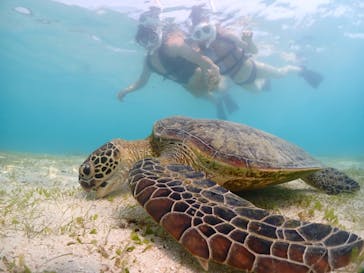 宮古島マリンショップSmileyに投稿された画像（2024/5/8）