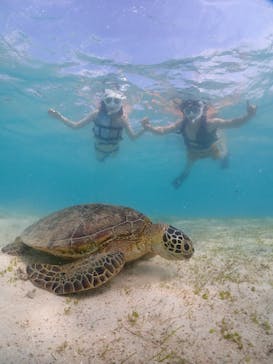 宮古島マリンショップSmileyに投稿された画像（2024/5/8）