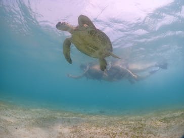 宮古島マリンショップSmileyに投稿された画像（2024/5/8）