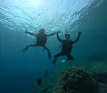 武藤潜水に投稿された画像（2024/5/8）