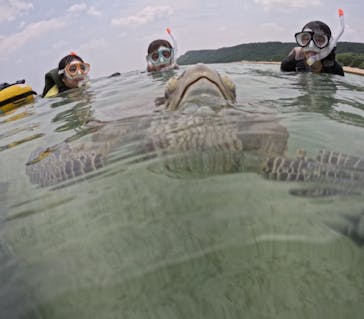 初心者専門宮古島シュノーケリングツアーに投稿された画像（2024/5/8）