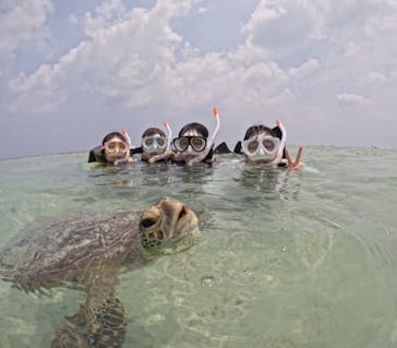 初心者専門宮古島シュノーケリングツアーに投稿された画像（2024/5/8）