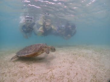 初心者専門宮古島シュノーケリングツアーに投稿された画像（2024/5/8）