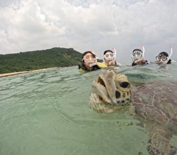 初心者専門宮古島シュノーケリングツアーに投稿された画像（2024/5/8）