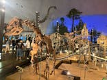 福井県立恐竜博物館に投稿された画像（2024/5/8）