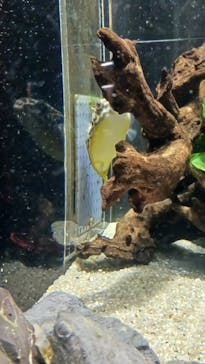 カワスイ 川崎⽔族館に投稿された画像（2024/5/8）