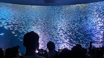 名古屋港水族館に投稿された画像（2024/5/8）