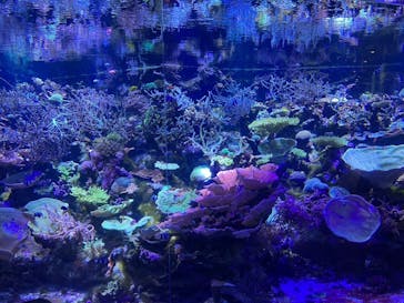 名古屋港水族館に投稿された画像（2024/5/8）