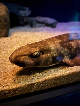 名古屋港水族館に投稿された画像（2024/5/8）