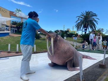 南知多ビーチランド＆南知多おもちゃ王国に投稿された画像（2024/5/8）