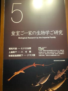 新江ノ島水族館に投稿された画像（2024/5/8）