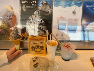 新江ノ島水族館に投稿された画像（2024/5/8）