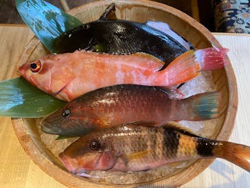 沖縄海うさぎ・海あしびに投稿された画像（2024/5/8）