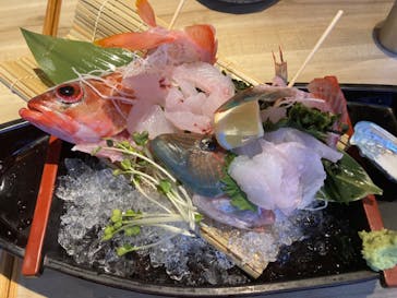 沖縄海うさぎ・海あしびに投稿された画像（2024/5/8）