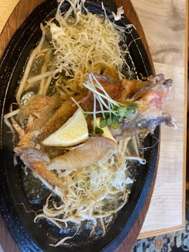 沖縄海うさぎ・海あしびに投稿された画像（2024/5/8）