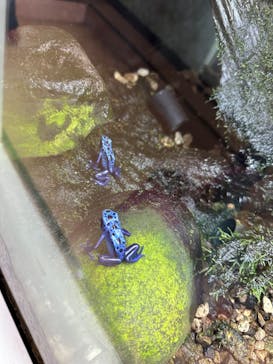 越前松島水族館に投稿された画像（2024/5/8）