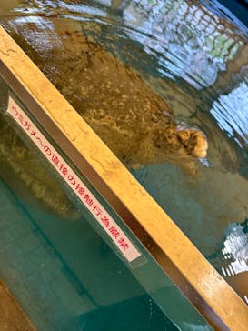 越前松島水族館に投稿された画像（2024/5/8）
