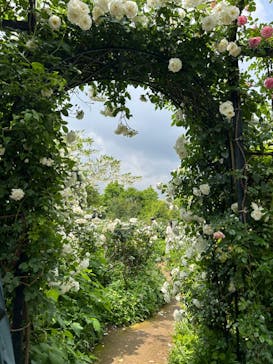 横浜イングリッシュガーデンに投稿された画像（2024/5/8）