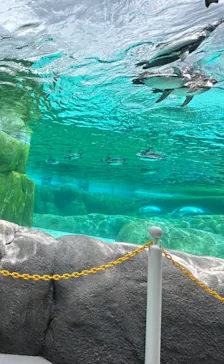 天王寺動物園に投稿された画像（2024/5/8）