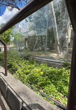 天王寺動物園に投稿された画像（2024/5/8）