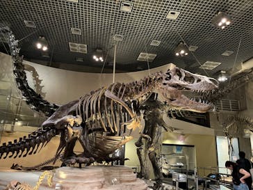 国立科学博物館に投稿された画像（2024/5/8）