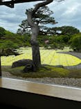 日本庭園　由志園に投稿された画像（2024/5/8）