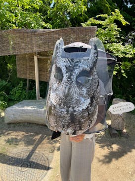 環境水族館アクアマリンふくしまに投稿された画像（2024/5/8）