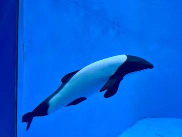 仙台うみの杜水族館に投稿された画像（2024/5/8）