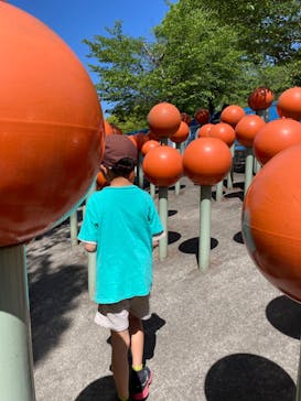 さがみ湖MORI MORIに投稿された画像（2024/5/8）