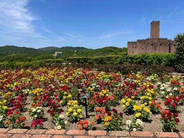 志摩スペイン村パルケエスパーニャに投稿された画像（2024/5/8）