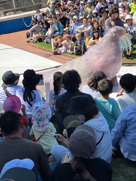 南知多ビーチランド＆南知多おもちゃ王国に投稿された画像（2024/5/8）