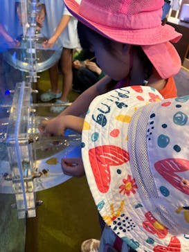 南知多ビーチランド＆南知多おもちゃ王国に投稿された画像（2024/5/8）