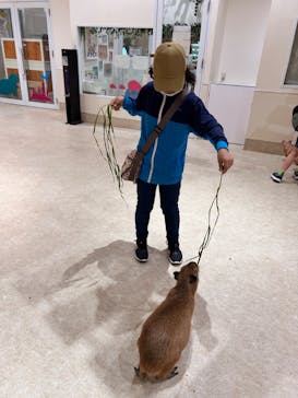 アニタッチららぽーと名古屋みなとアクルスに投稿された画像（2024/5/8）