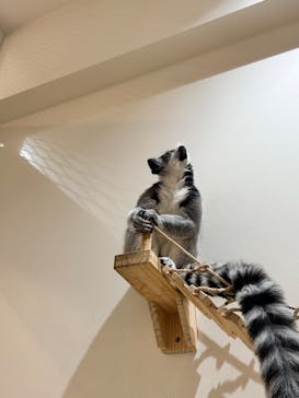 アニタッチららぽーと名古屋みなとアクルスに投稿された画像（2024/5/8）