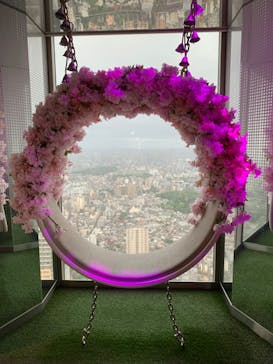 サンシャイン60展望台に投稿された画像（2024/5/8）