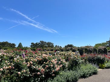 浜名湖花博2024に投稿された画像（2024/5/8）