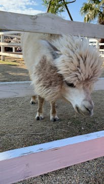 神戸どうぶつ王国に投稿された画像（2024/5/8）