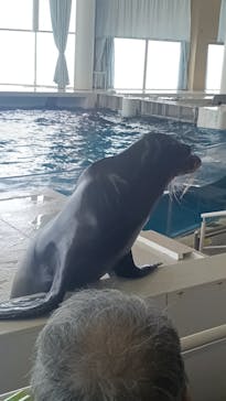 アクアワールド茨城県大洗水族館に投稿された画像（2024/5/8）