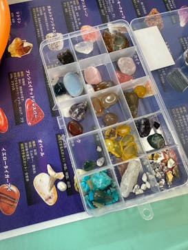 Discovery Worldに投稿された画像（2024/5/8）