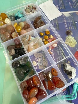 Discovery Worldに投稿された画像（2024/5/8）