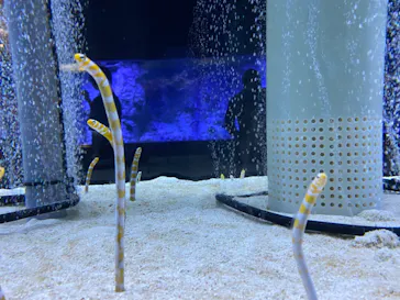 すみだ水族館に投稿された画像（2024/5/8）