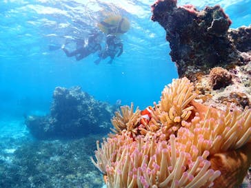 CHAMP TOUR　宮古島に投稿された画像（2024/5/9）