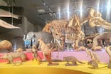 特別展「大哺乳類展３－わけてつなげて大行進」に投稿された画像（2024/5/9）