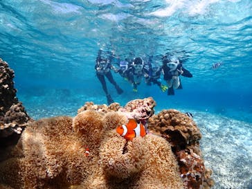 宮古島マリンショップSmileyに投稿された画像（2024/5/9）