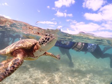 宮古島マリンショップSmileyに投稿された画像（2024/5/9）