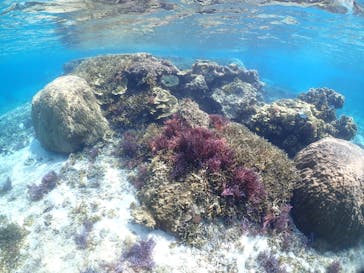 宮古島マリンショップSmileyに投稿された画像（2024/5/9）