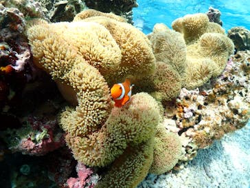 宮古島マリンショップSmileyに投稿された画像（2024/5/9）