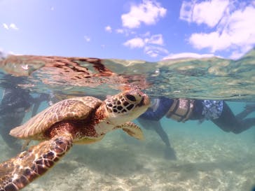 宮古島マリンショップSmileyに投稿された画像（2024/5/9）