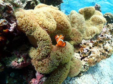 宮古島マリンショップSmileyに投稿された画像（2024/5/9）