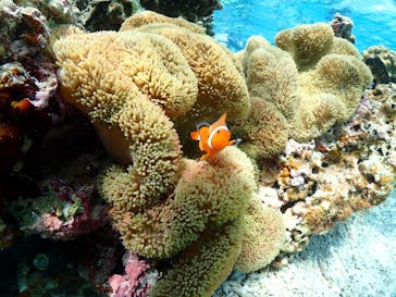 宮古島マリンショップSmileyに投稿された画像（2024/5/9）